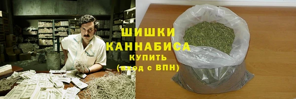 стаф Бородино