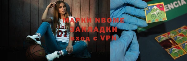 стаф Бородино