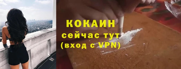 дурь Бронницы