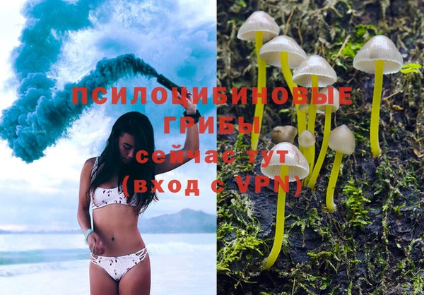 эйфоретик Бугульма