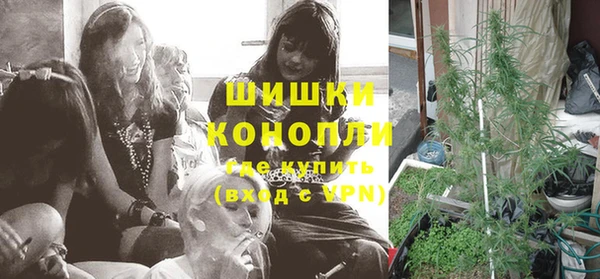 ПСИЛОЦИБИНОВЫЕ ГРИБЫ Семилуки